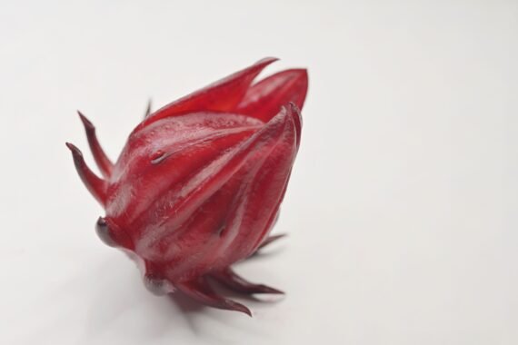 Sorrel