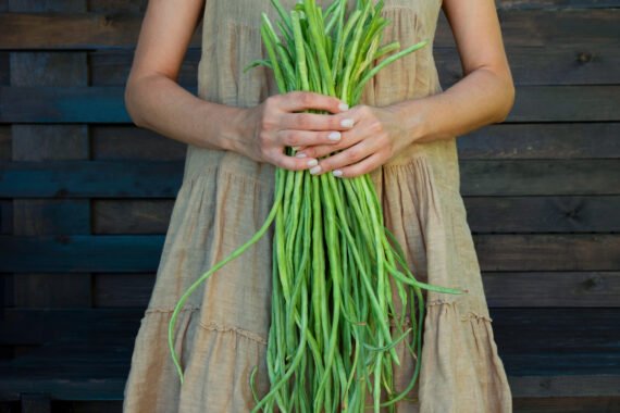 Bora {yardlong bean/Snake beans)
