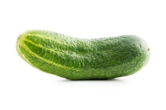 Cucumber